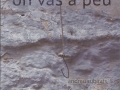 Andreu Subirats